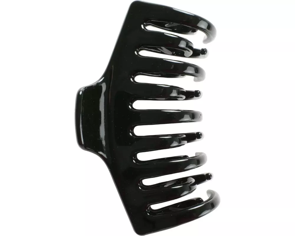 DailyGo Haarklammer 1 Stück, Schwarz