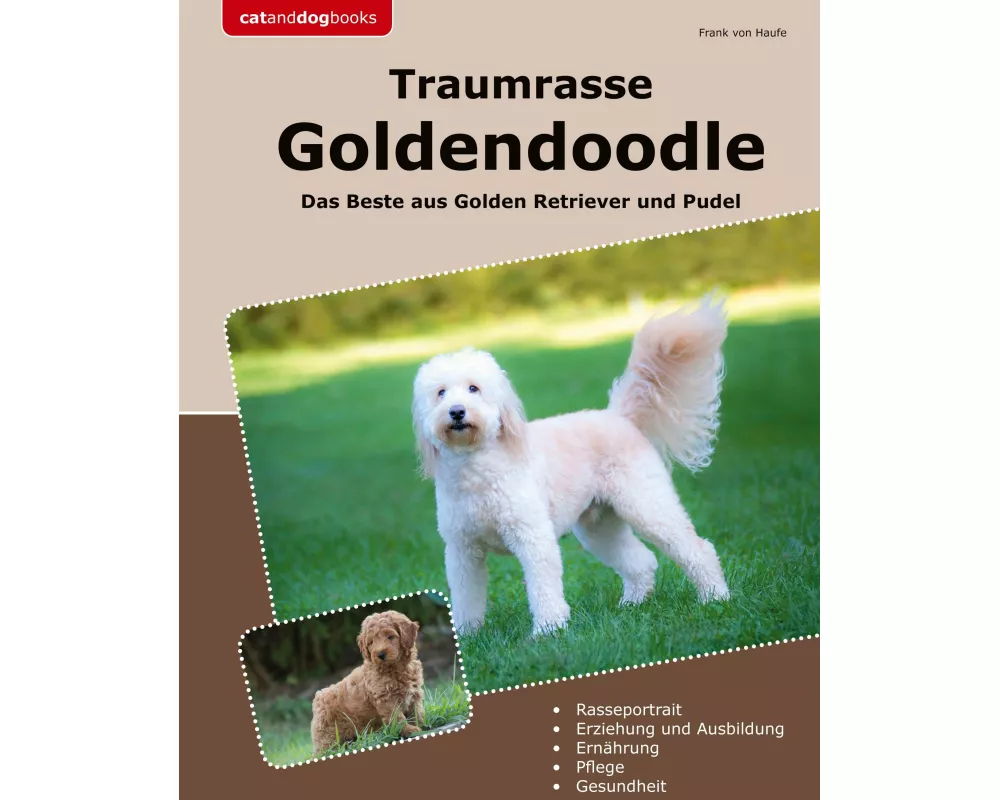 Traumrasse Goldendoodle