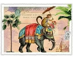 Postkarte. Sweet Memories / Affe auf Elefant / Quer / Blanko