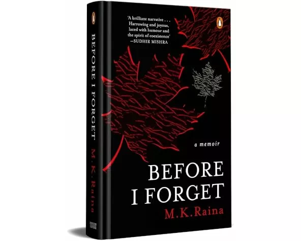 Before I Forget