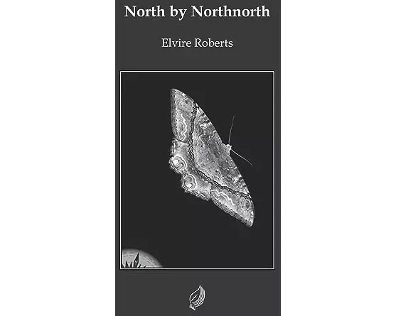 North by Northnorth