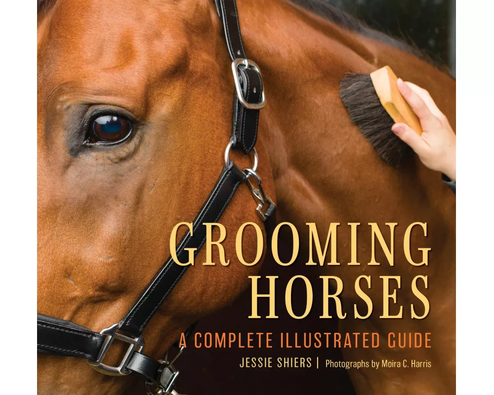 Grooming Horses