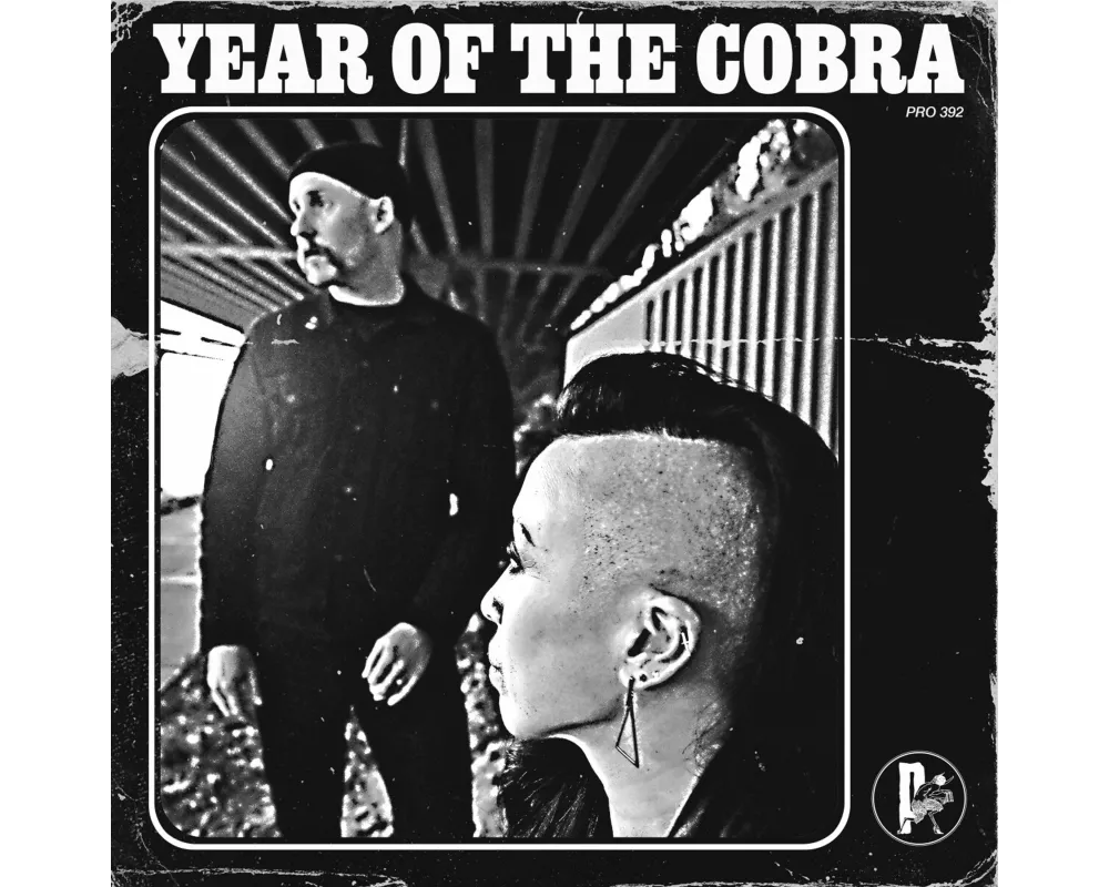 Year Of The Cobra