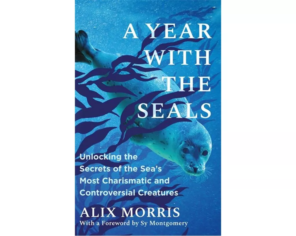 A Year with the Seals