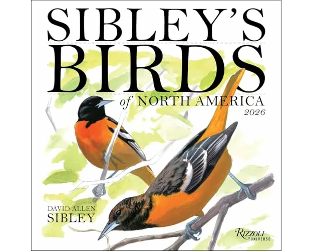 Sibley's Birds of North America 2026 Wall Calendar