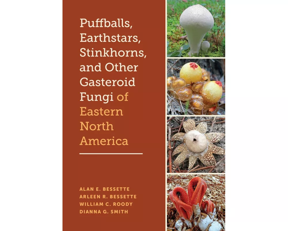 Puffballs, Earthstars, Stinkhorns, and Other Gasteroid Fungi of Eastern North America