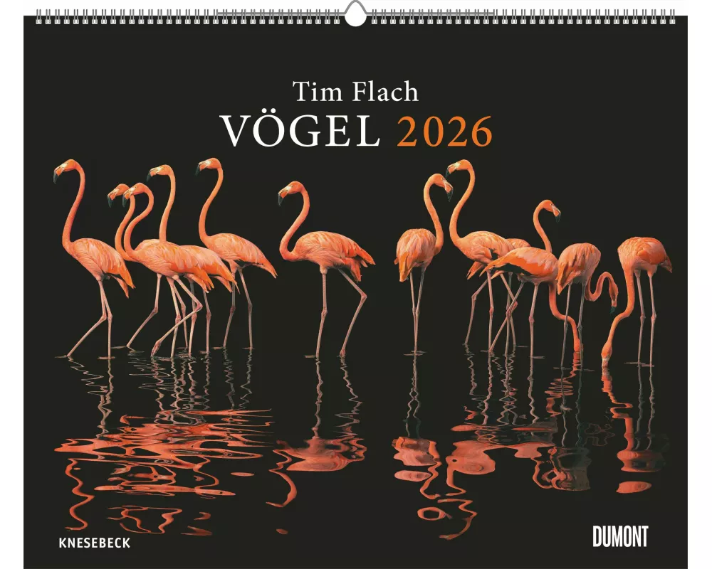 DUMONT - Tim Flach: Vögel 2026 – Posterkalender 60 x 50 cm – Faszinierende Vogel-Porträts für Tierfreunde & Fotografie-Liebhaber