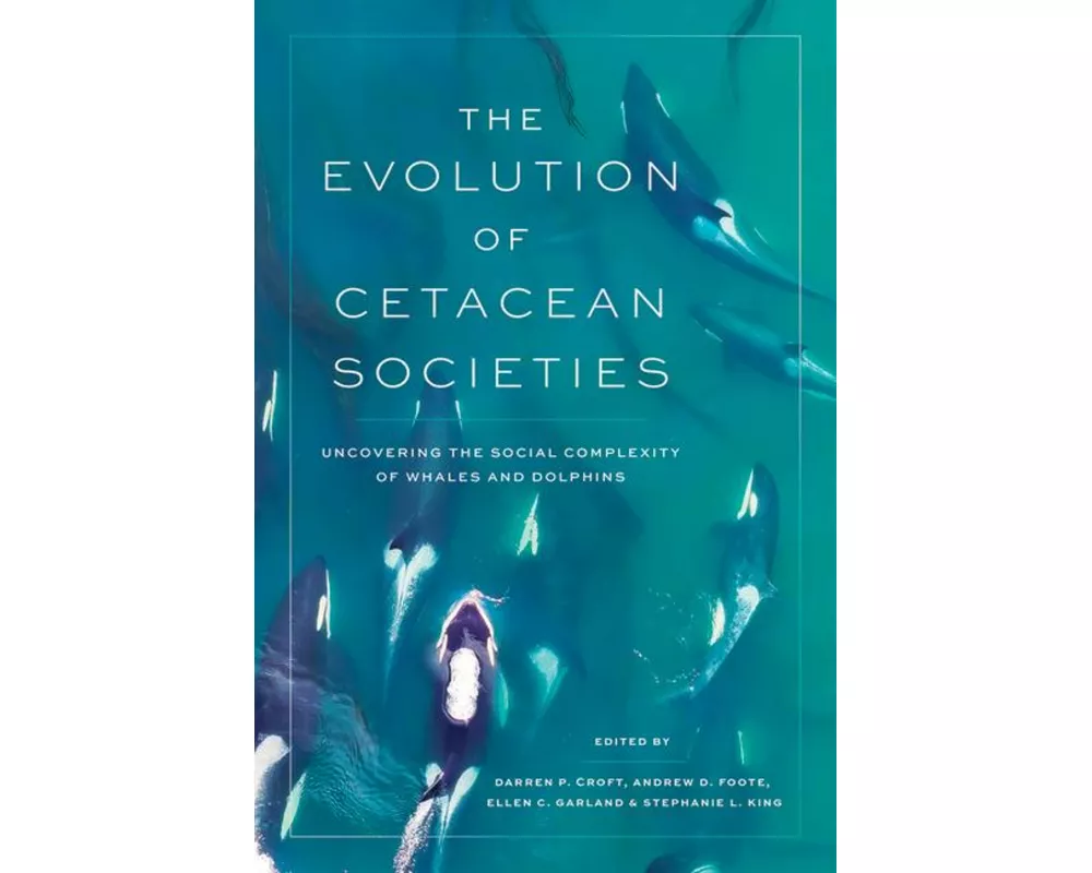 The Evolution of Cetacean Societies