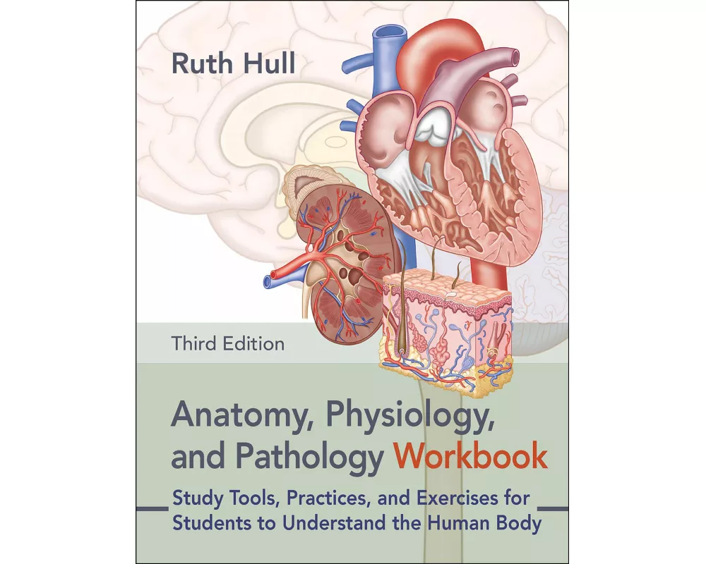 Anatomy, Physiology, and Pathology Workbook