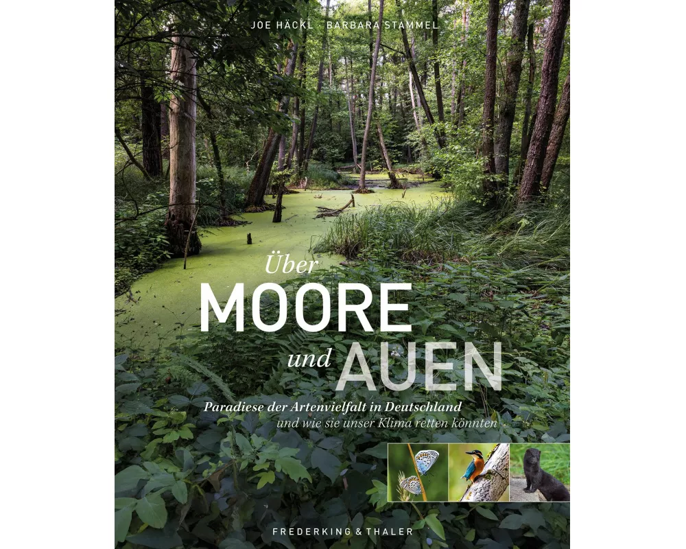 Über Moore und Auen