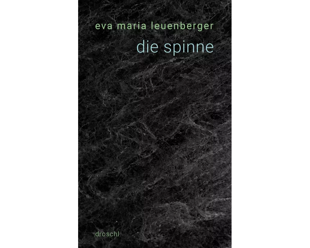 die spinne
