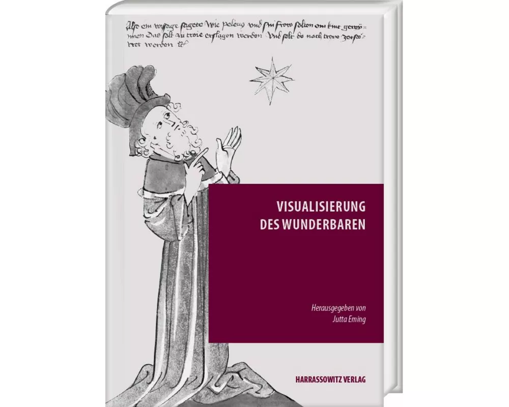 Visualisierung des Wunderbaren