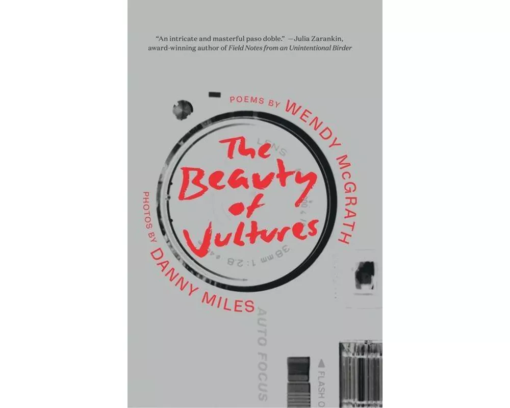 The Beauty of Vultures