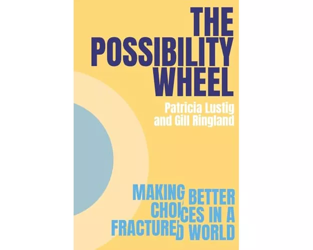 The Possibility Wheel