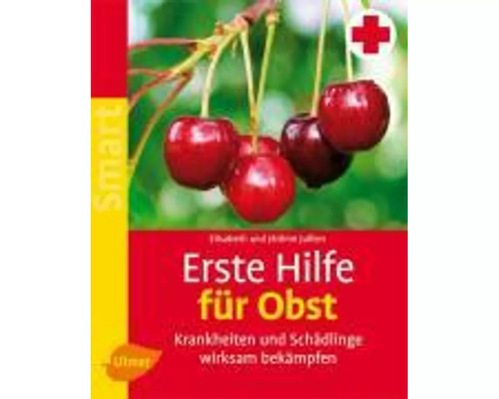 Erste Hilfe für Obst