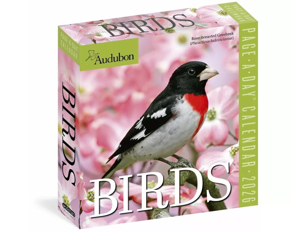 Audubon Birds Page-A-Day Calendar 2026