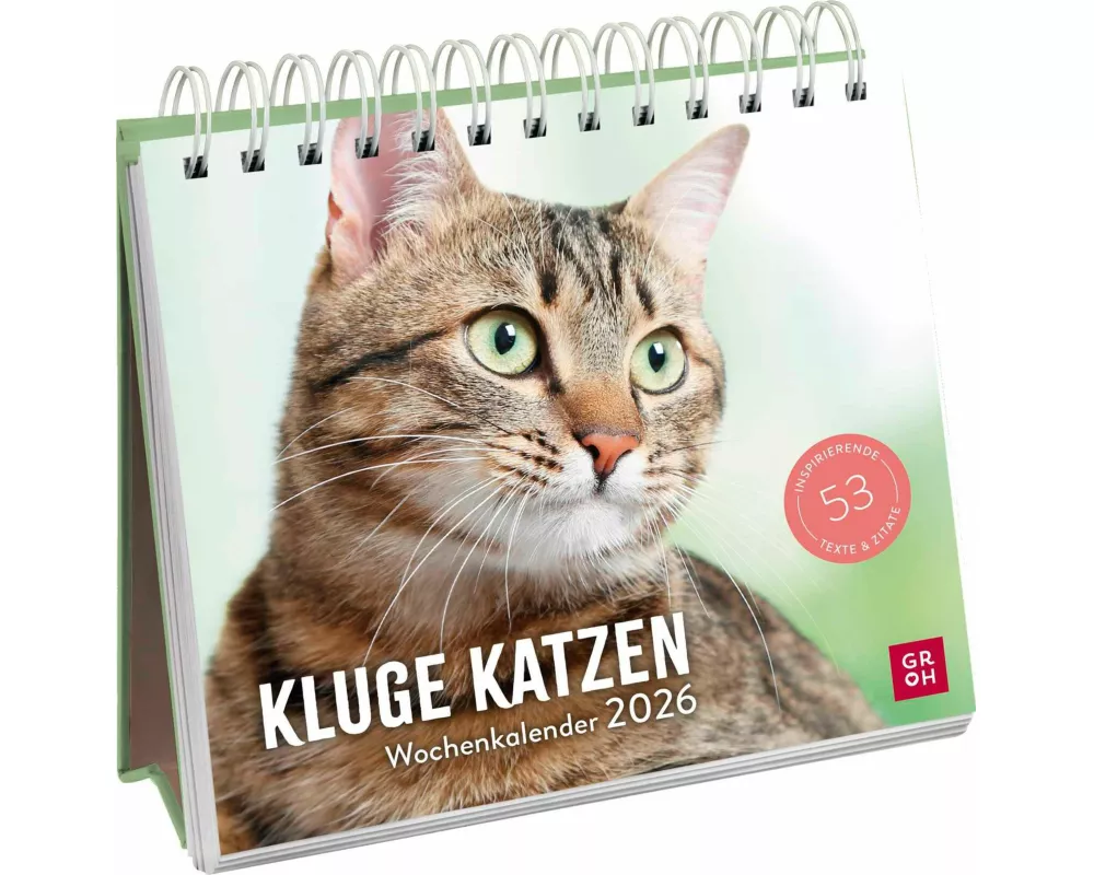 Wochenkalender 2026: Kluge Katzen