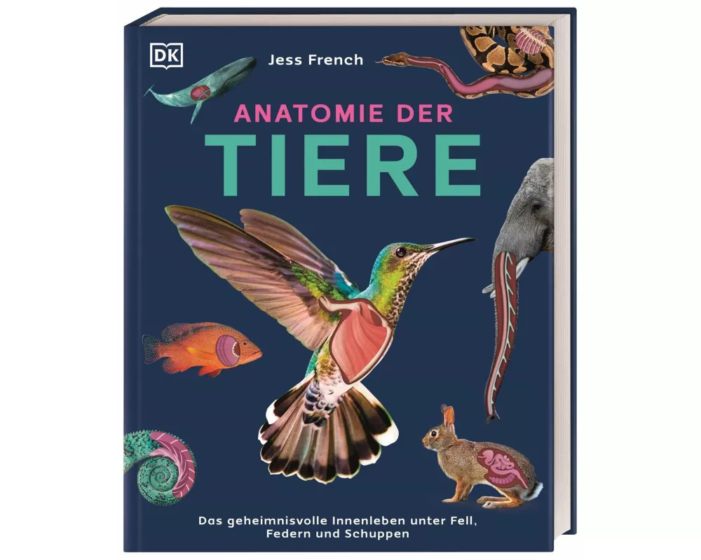 Anatomie der Tiere