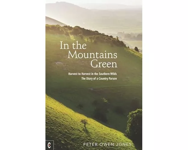 In the Mountains Green