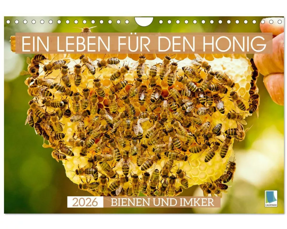 Ein Leben für den Honig - Bienen und Imker (Wandkalender 2026 DIN A4 quer), CALVENDO Monatskalender
