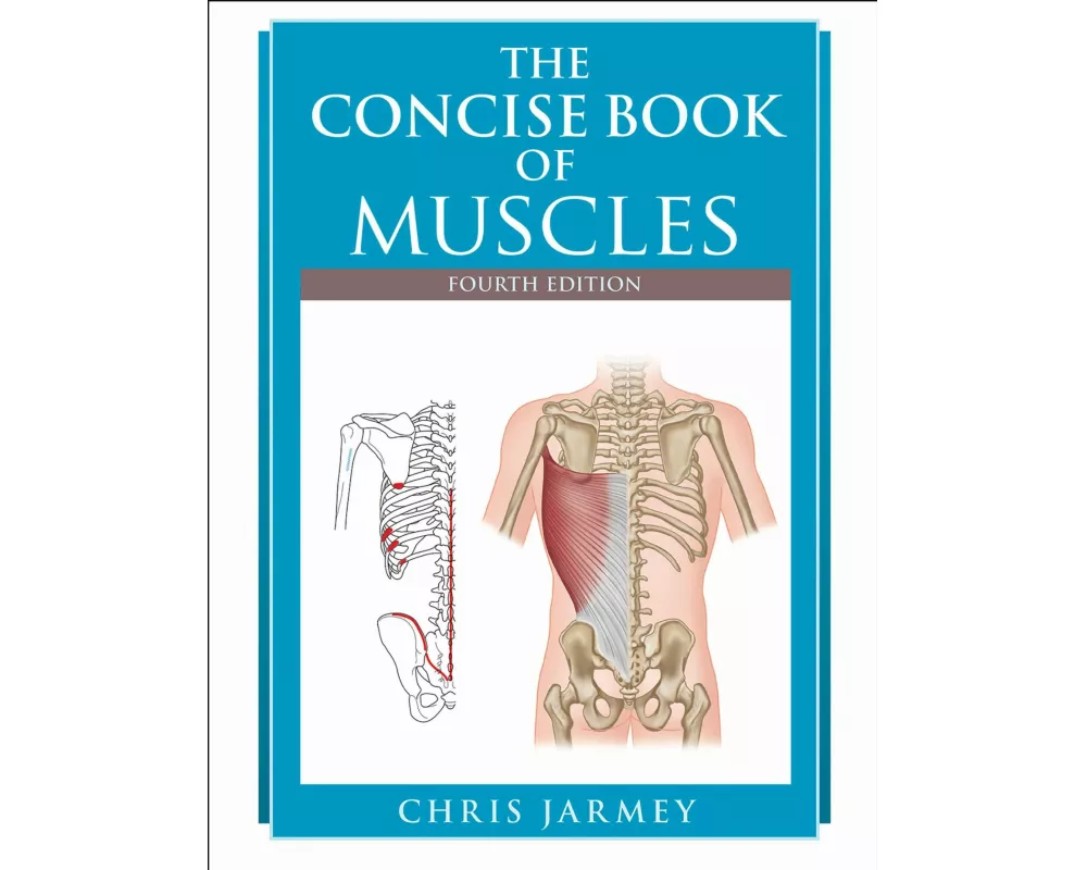 The Concise Book of Muscles