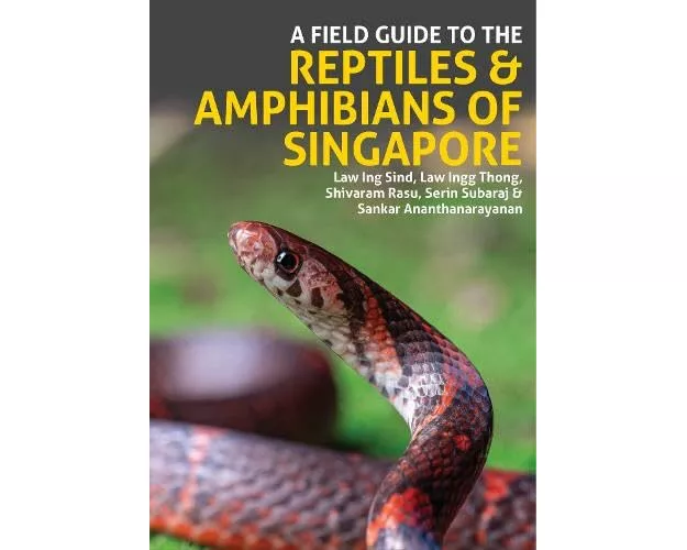 A Field Guide to the Reptiles and Amphibians of Singapore