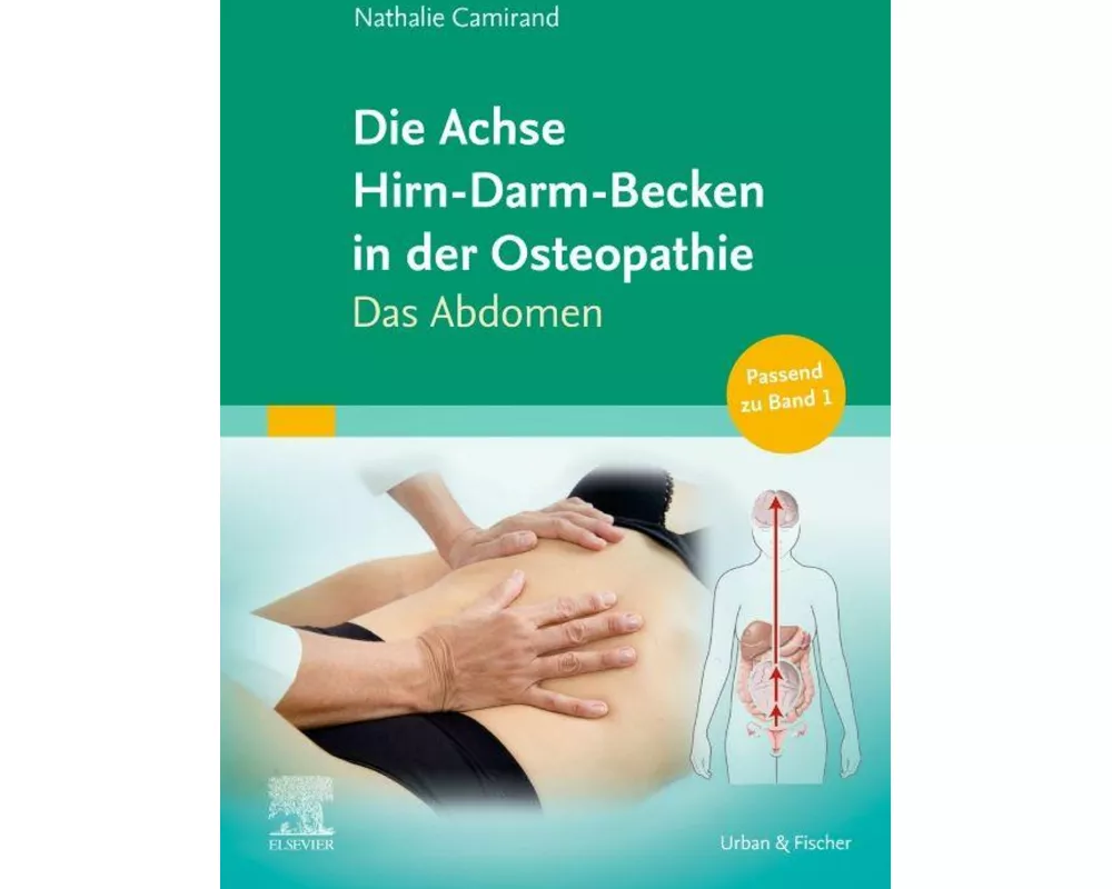 Die Achse Hirn-Darm-Becken in der Osteopathie