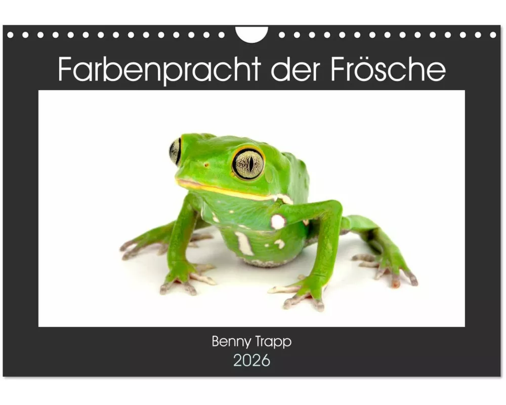 Farbenpracht der Frösche (Wandkalender 2026 DIN A4 quer), CALVENDO Monatskalender