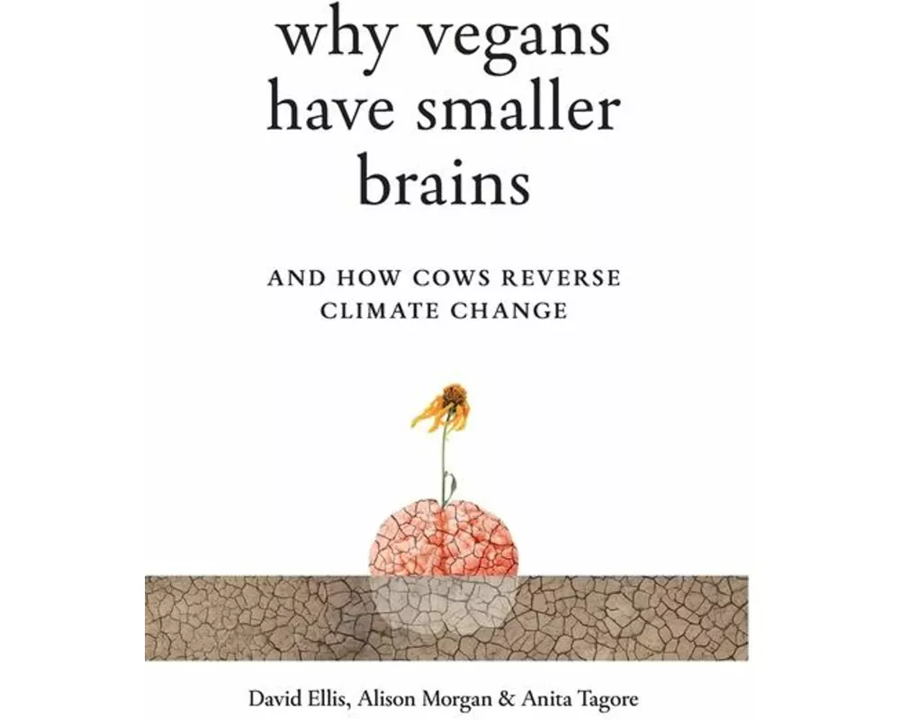 Why Vegans Have Smaller Brains