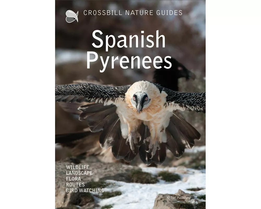 Crossbill Nature Guide Spanish Pyrenees