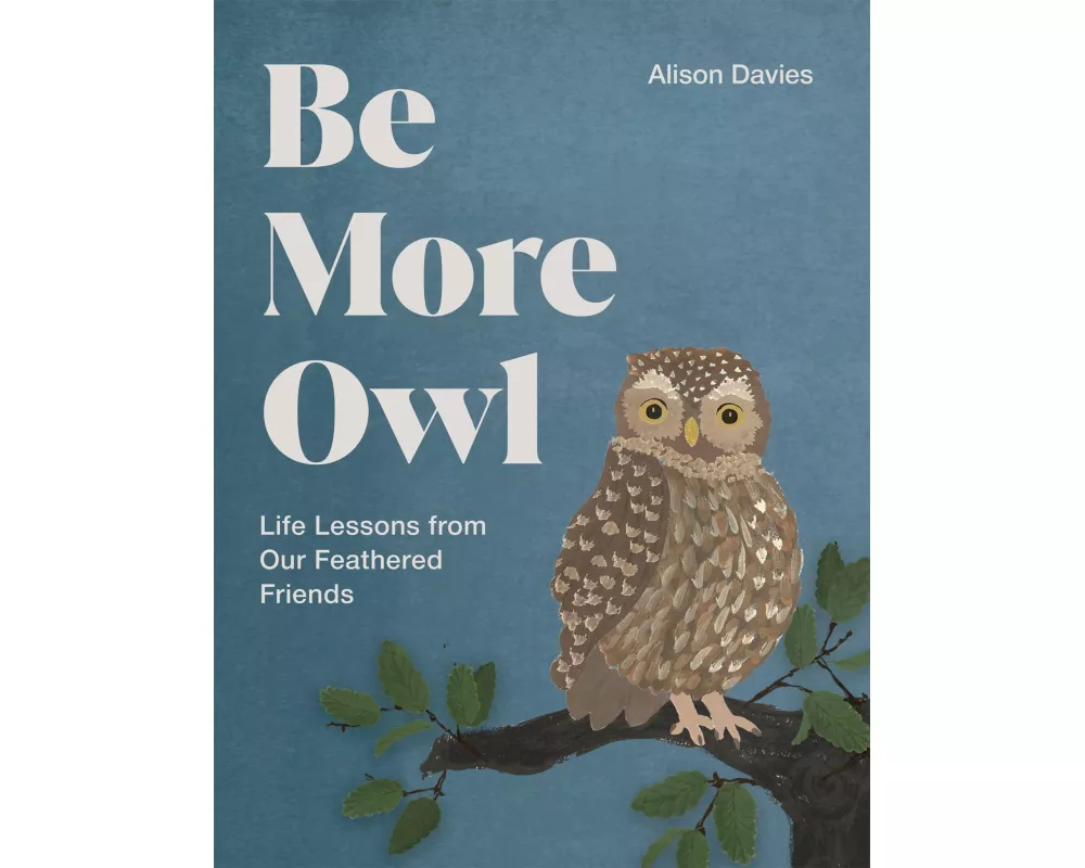 Be More Owl