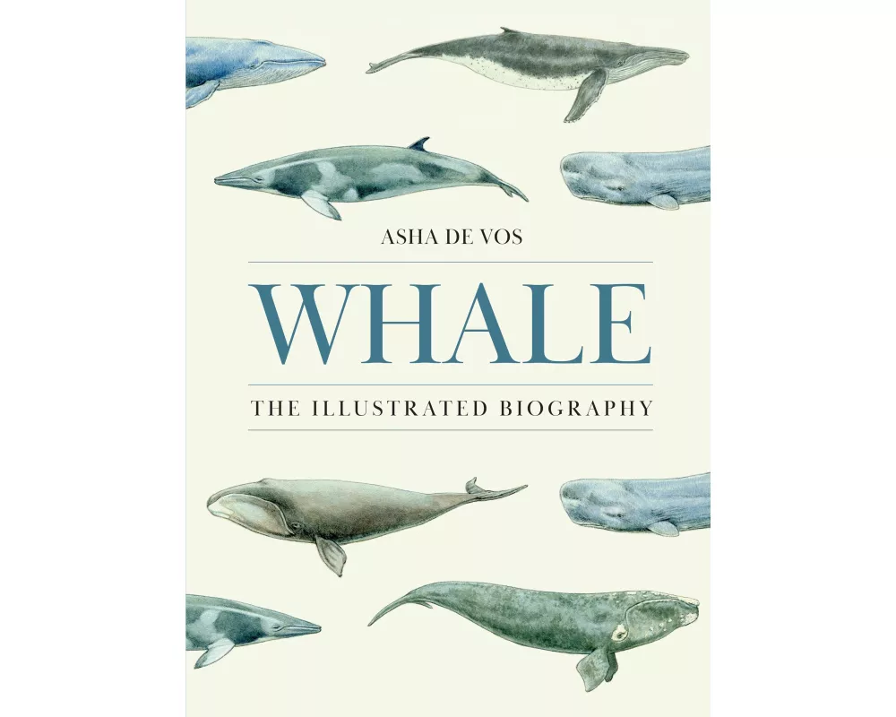 Whale