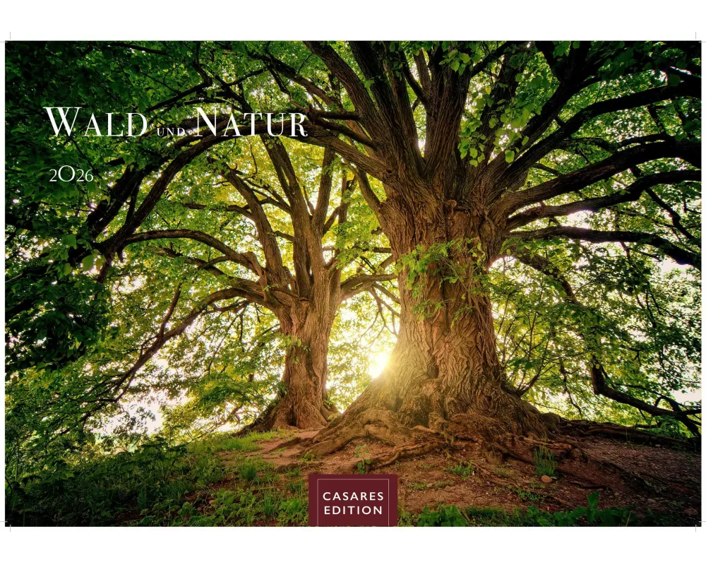 Wald & Natur Kalender 2026 - Wandkalender | Fotokalender Naturkalender Großformat 35x50cm - Natürliche Schönheit & Ruhe für jeden Monat
