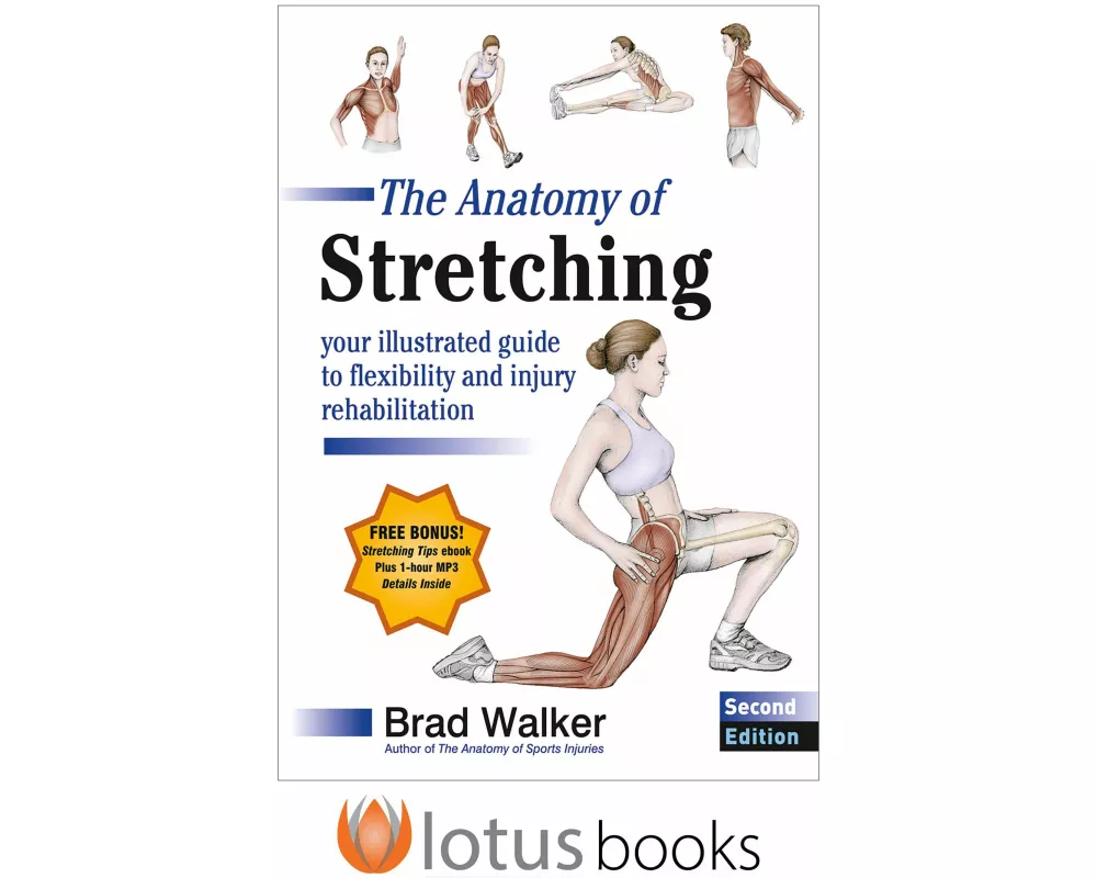 The Anatomy of Stretching