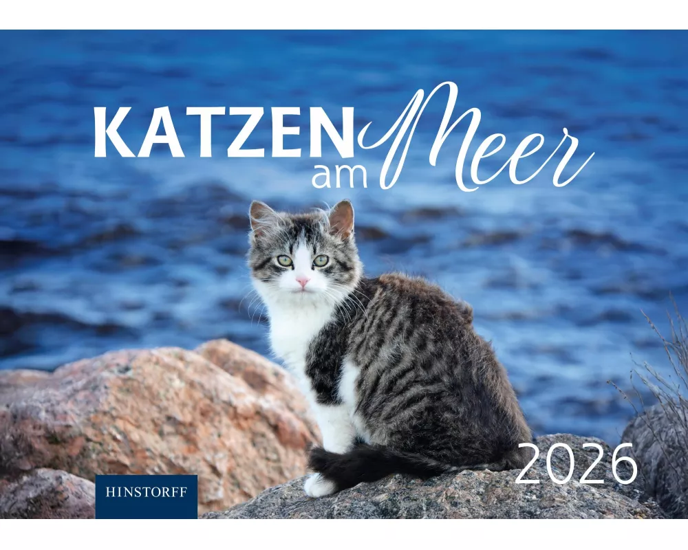 Katzen am Meer 2026