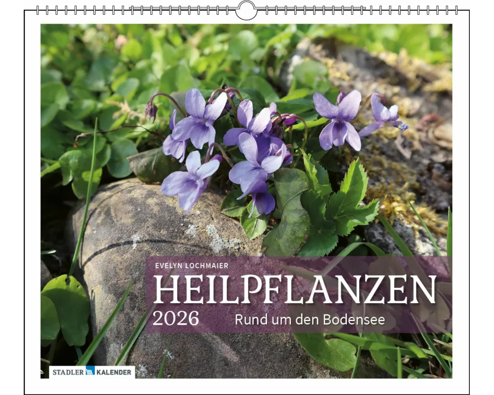 Heilpflanzen rund um den Bodensee 2026