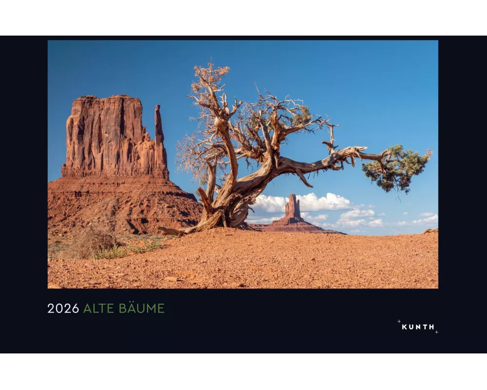 Alte Bäume, Sinnbilder des Lebens - KUNTH Wandkalender 2026