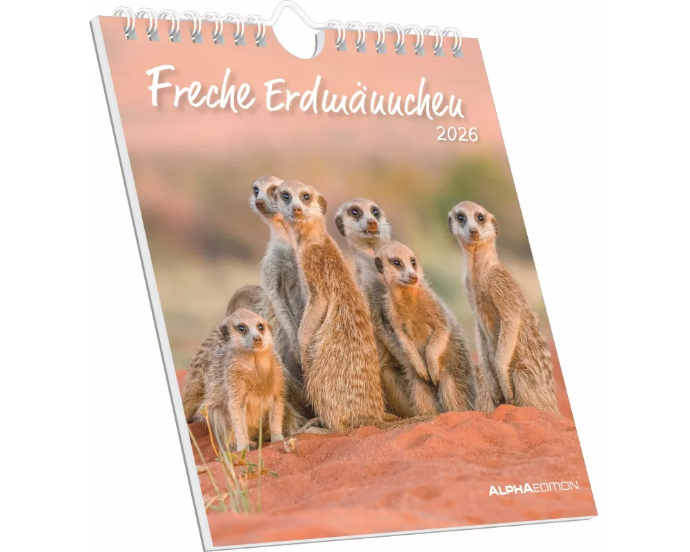 Alpha Edition - Freche Erdmännchen 2026 – Postkartenkalender 16×17 cm mit 53 witzigen Motiven, dekorativer Tisch- & Wandkalender auf FSC-Papier, zum V