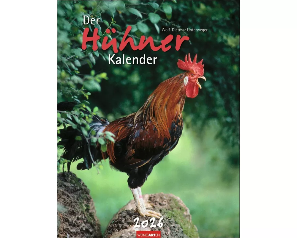 Der Hühnerkalender 2026