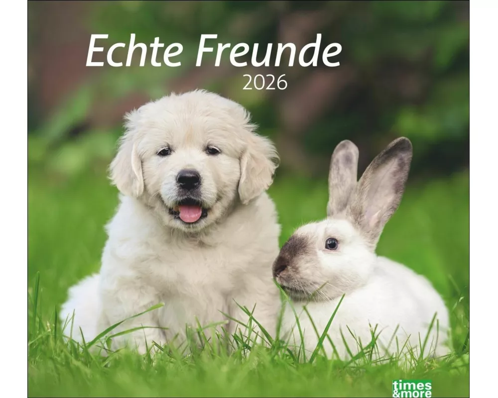 times&more Echte Freunde Bildkalender 2026