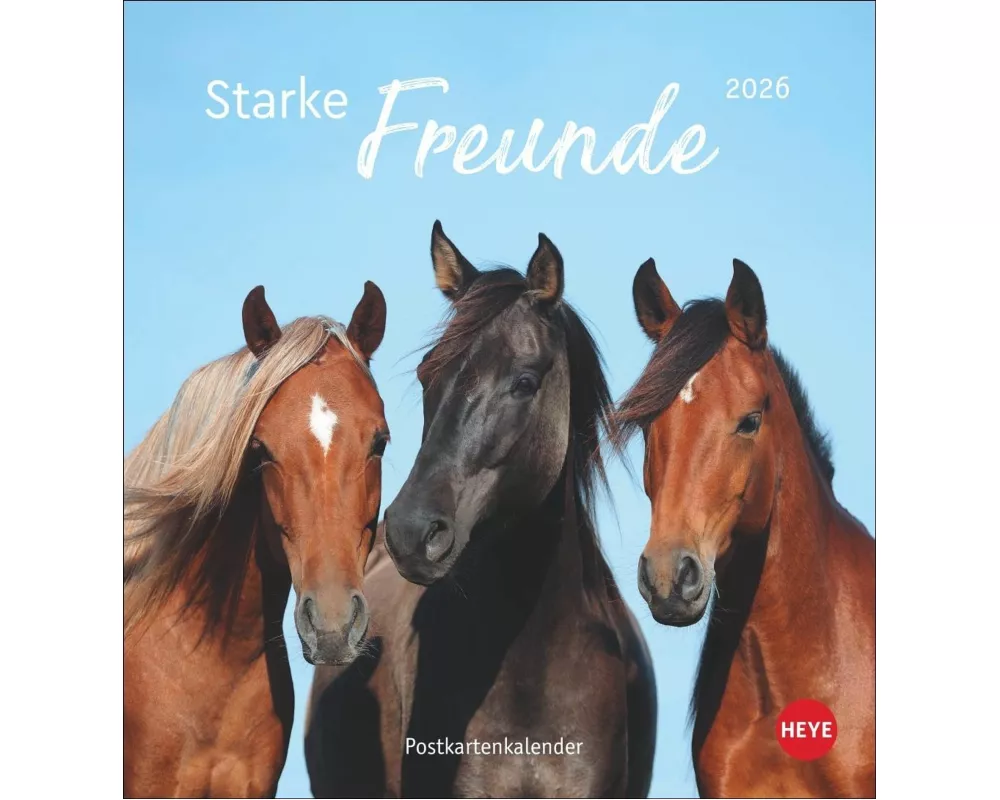 Pferde Postkartenkalender 2026 - Starke Freunde
