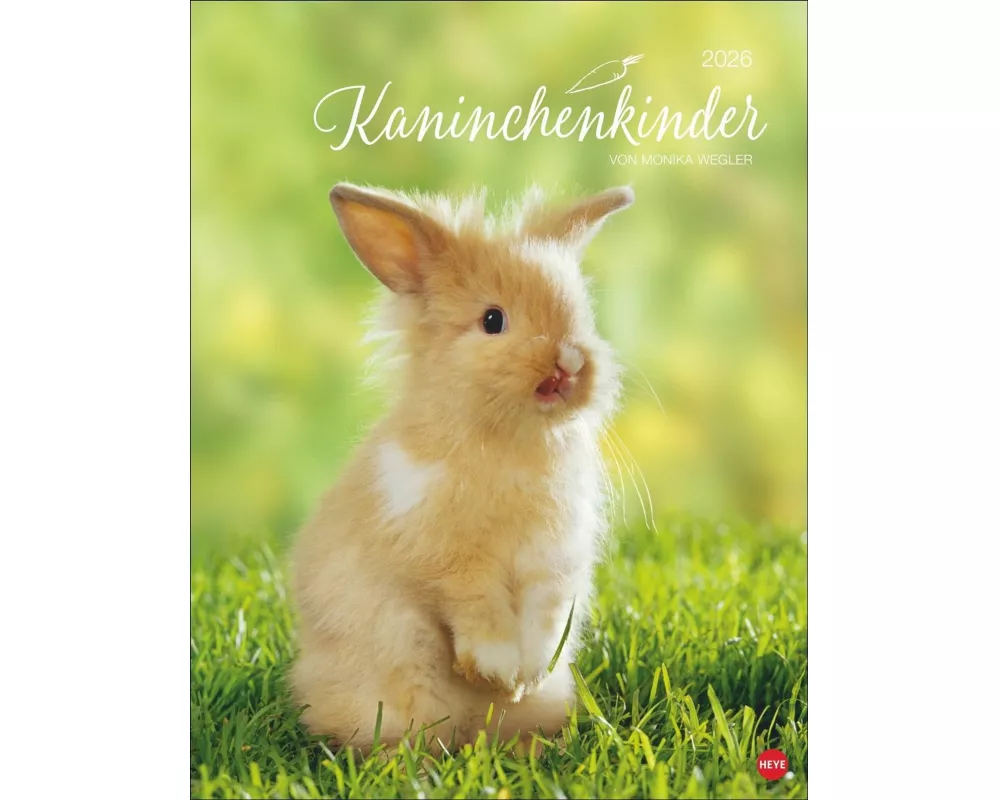 Kaninchenkinder Posterkalender 2026