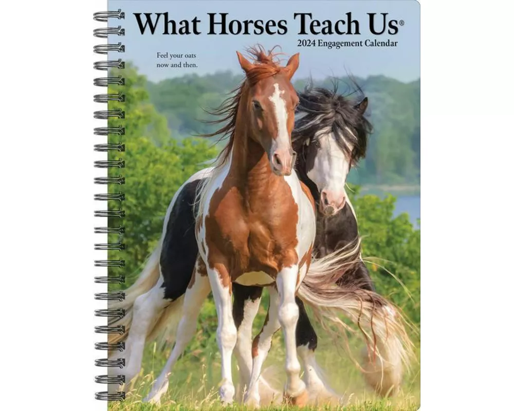 What Horses Teach Us 2024 6.5 X 8.5 Engagement Calendar