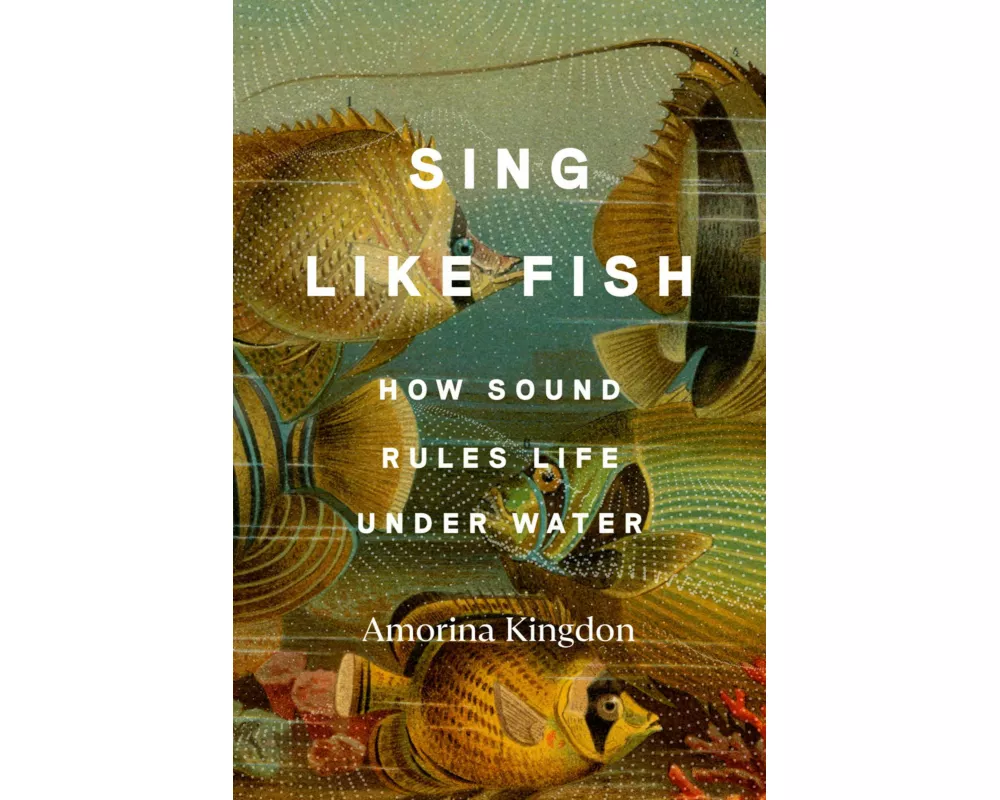 Sing Like Fish