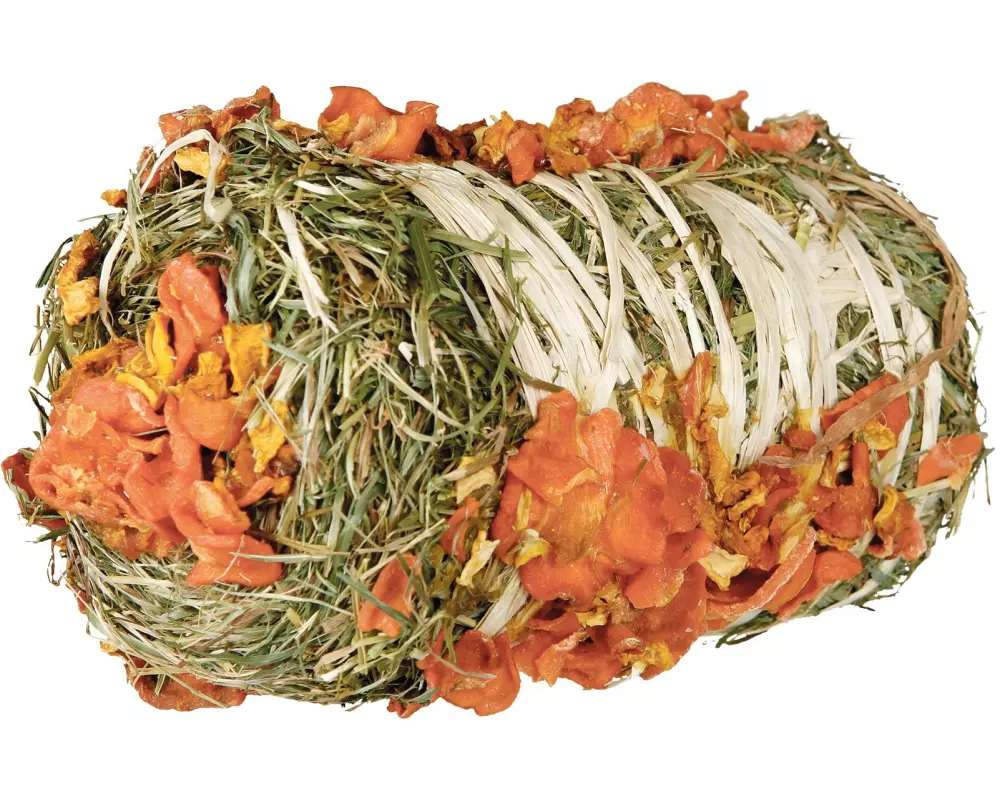 Trixie mit Kürbis und Karotte 200 g