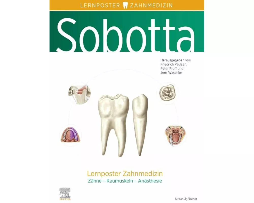 Sobotta Lernposter Zahnmedizin
