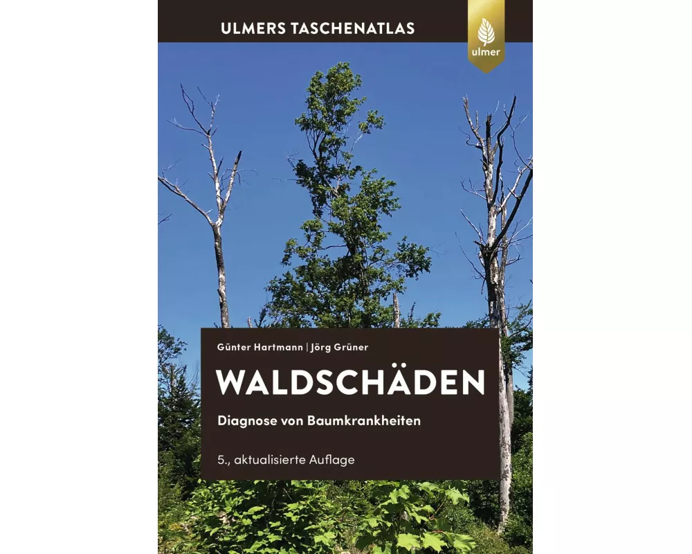 Waldschäden