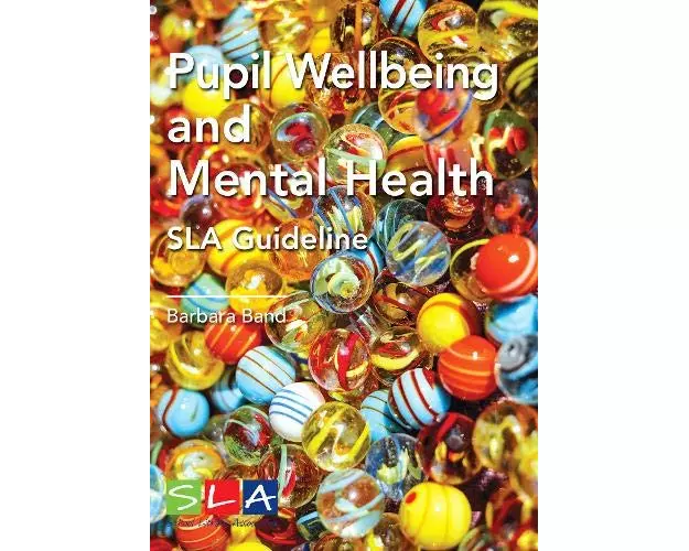 Pupil Wellbeing and Mental Health