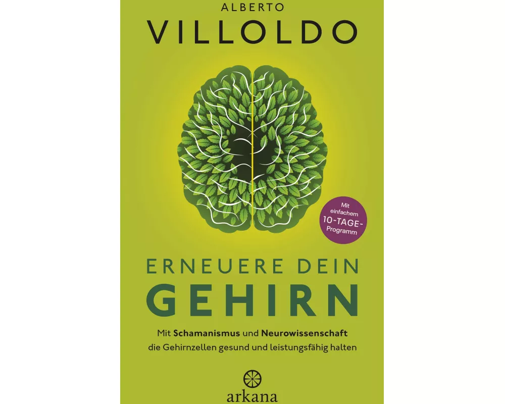 Erneuere dein Gehirn