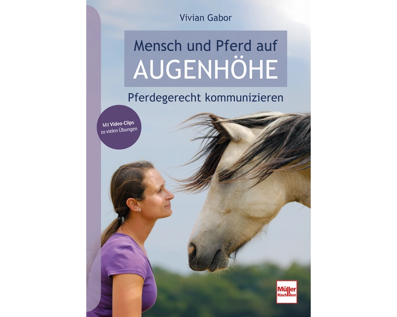 Mensch und Pferd auf Augenhöhe
